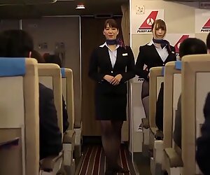 섹시한 여성 항공사 여주인이 비즈니스 남성에게 성적인 서비스를 제공합니다